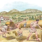 Налоги на урожай, а не сельское хозяйство в целом, подтолкнули людей к созданию первых государств