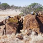 Геологи сравнили древние породы с лунными и выяснили, когда на Земле возникли континенты и как образовалась Луна