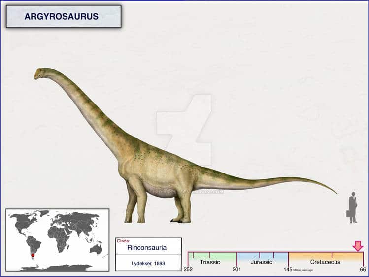 Художественное изображени аргирозавра / © cisiopurple, deviantart