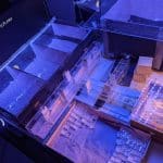 Шмели научились понимать азбуку Морзе