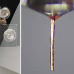 Инженеры превратили хоботок комара в сопло для 3D-некропечати