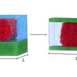 Геометрия как решающий фактор: ученые нашли объяснение поведению жидкостей в нанопорах