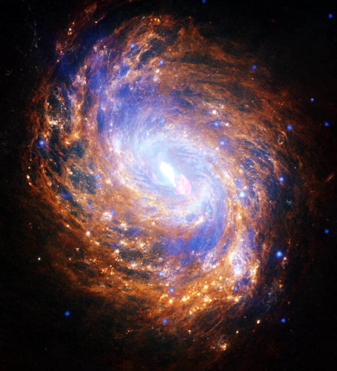 NGC 1068 — сравнительно близкая спиральная галактика с черной дырой в центре, масса которой вдвое превышает массу черной дыры Млечного Пути / © NASA / Chandra X-ray Observatory
