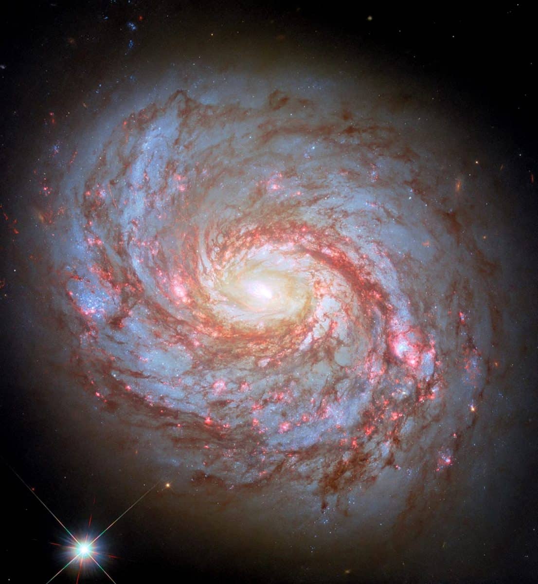 Спиральная галактика Мессье 77, также известная как галактика Кальмар. Она расположена примерно в 45 миллионах световых лет от Земли в созвездии Кита / © NASA / ESA