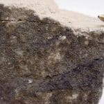 Ученые указали на новый механизм действия селена, защищающий организм от воспаления