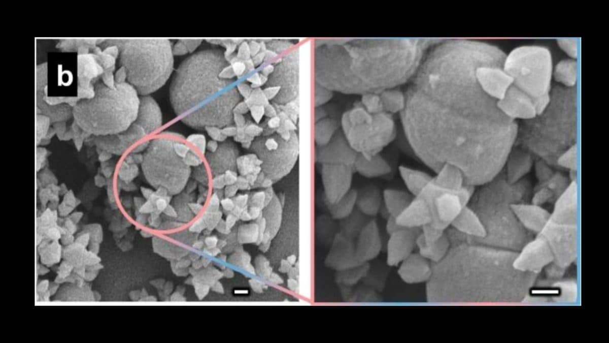 Ученые убили бактерии антимикробными наношипами