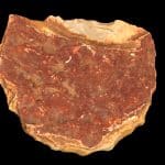 В Австралии нашли тайник с 60 каменными теслами, спрятанный 200 лет назад