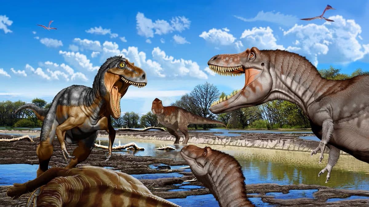 Палеонтологи установили, что нанотираннус был отдельным видом