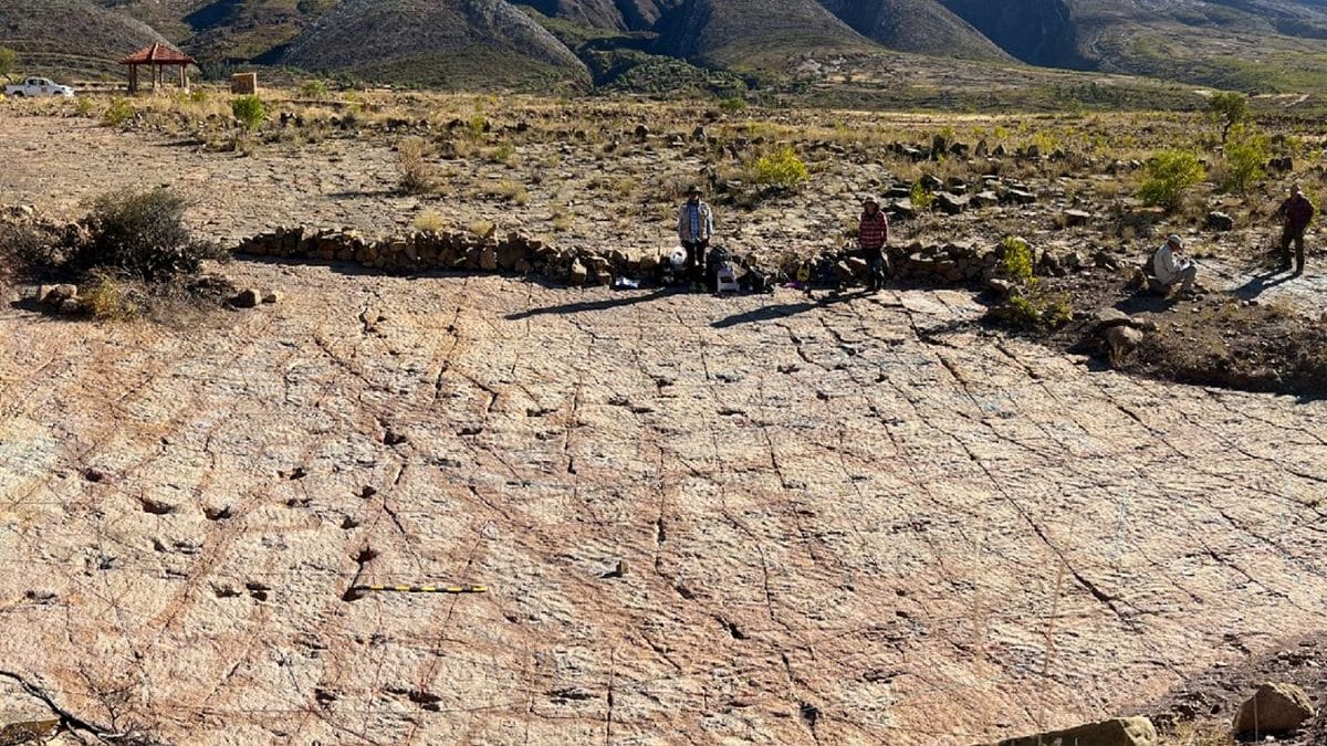 Динозавры протоптали магистраль по берегу озера в Боливии