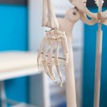 Пермские ученые создали материал для регенерации костной ткани