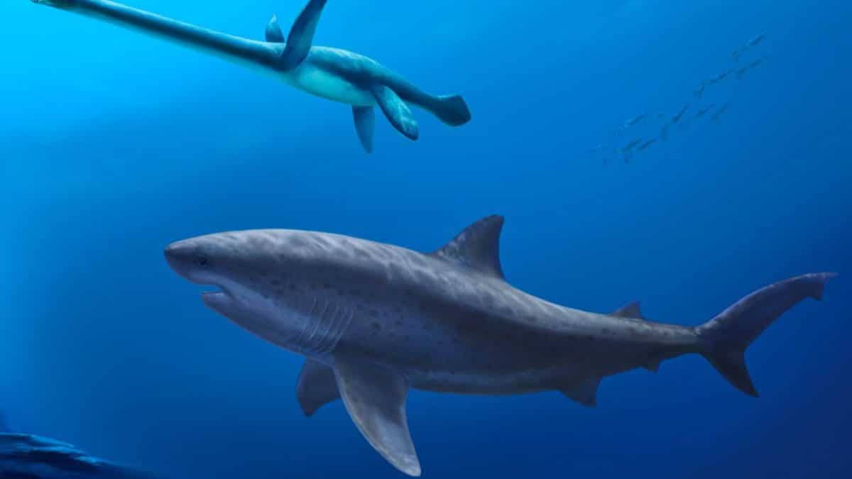 Палеонтологи удревнили гигантских акул на 15 миллионов лет