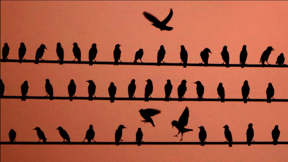 Ученые нашли биологические корни дезинформации