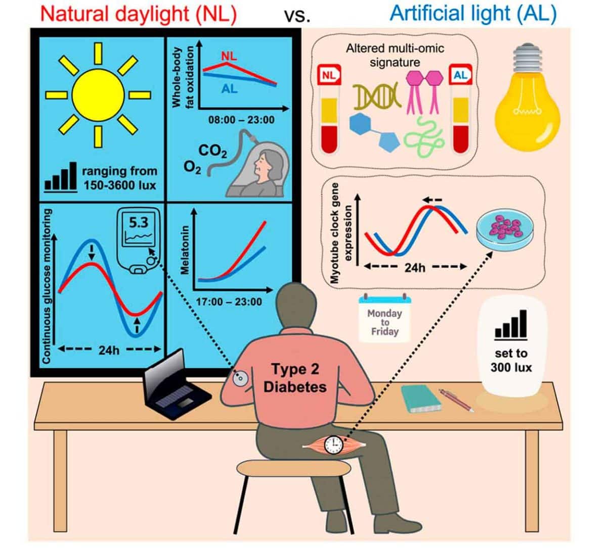 Дневной свет в помещении улучшил показатели сахара при диабете