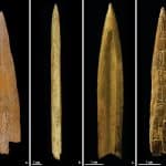 Аргентинские археологи нашли наконечники стрел из костей лам