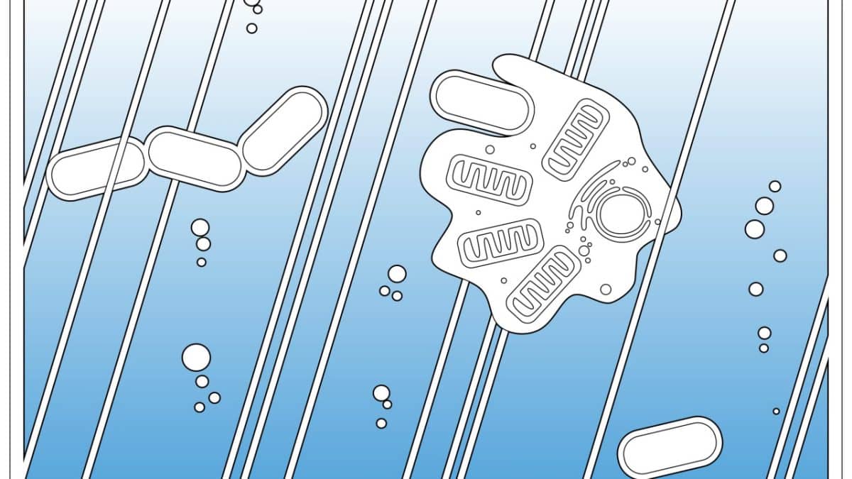 Земная жизнь стала сложной на миллиард лет раньше, чем считалось