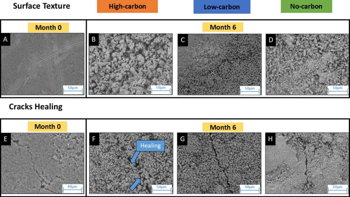 Ученые заставили любящие щелочную среду бактерии залечивать бетон