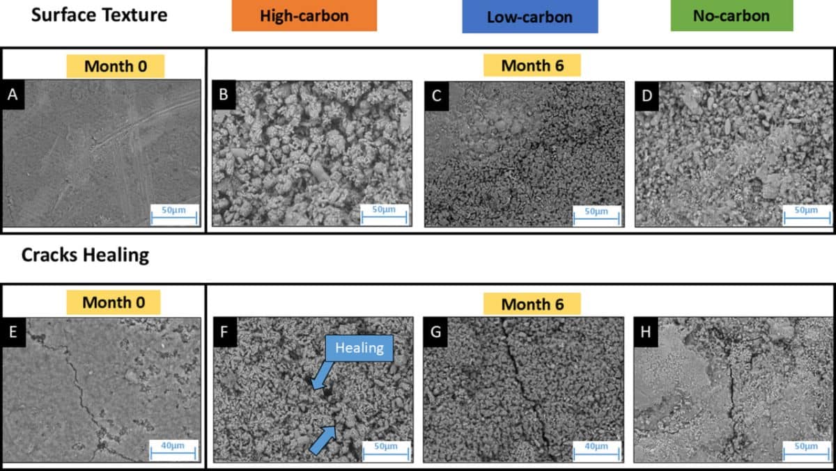 СЭМ-изображение цемента. Сверху — поверхность, снизу — трещина. Оранжевые образцы залечивались в среде с большим количеством органики, синие — с малым, зеленые — без органики / © ACS Omega (2025). DOI: 10.1021/acsomega.5c04312