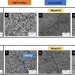 Ученые заставили любящие щелочную среду бактерии залечивать бетон