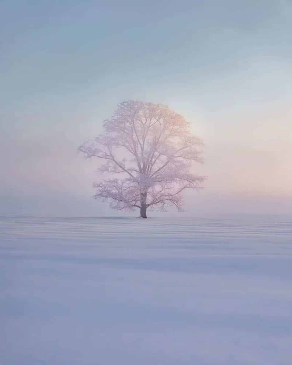 Победитель в категории «Снег и лед»: Япония / © Kung-Fu Li