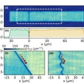 А) Облако ультрахолодных атомов в ловушке. Яркие области — два резервуара сверхтекучего газа, разделенные темной узкой щелью. Щель — барьер из лазерного излучения. Распределение плотности атомов вдоль оси контакта (x). B) Эволюция профиля плотности атомов при i — постоянном перекосе (аналог напряжения) ii — с добавлением переменной составляющей в перекос. В случае постоянного перекоса (i) наблюдается линейный наклон полос плотности, что соответствует неупорядоченному, плавному перетоку атомов через контакт. При добавлении переменной компоненты (ii) возникают четкие вертикальные «ступени» — признак квантовой синхронизации (шагов Шапиро) / © Giulia Del Pace et. al.