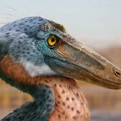 Xenovenator espinosai