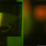 Ученые превратили участок кожи живой мыши в светящийся биосенсор