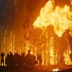 Ученые предложили превратить промышленные отходы в «вечный» барьер от лесных пожаров