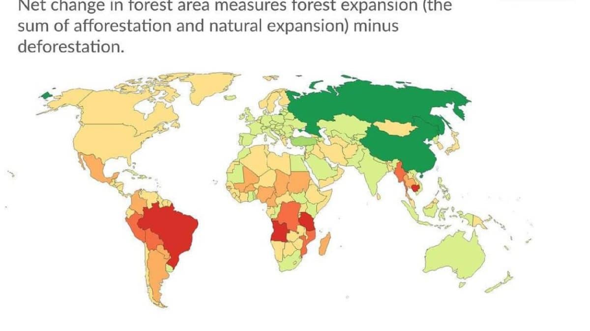 https://naked-science.ru/wp-content/uploads/2026/01/5456597512979419997-1200x675.jpg
