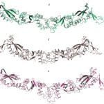 В России описали перспективы использования мимикрирующих под ДНК белков