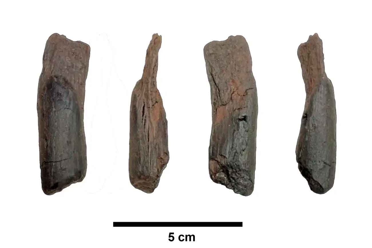 деревянное орудие