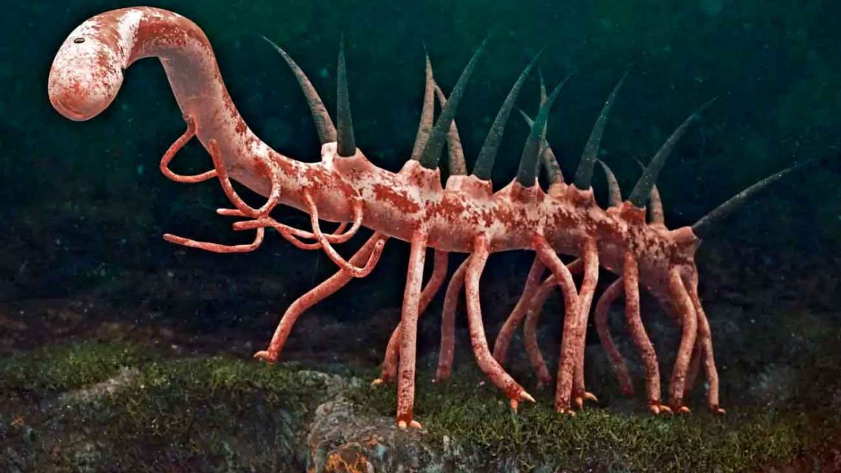 Ученые рассказали, чем питалось одно из самых странных животных в истории