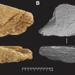 Древнейшее орудие из слоновой кости в Европе нашли в Великобритании