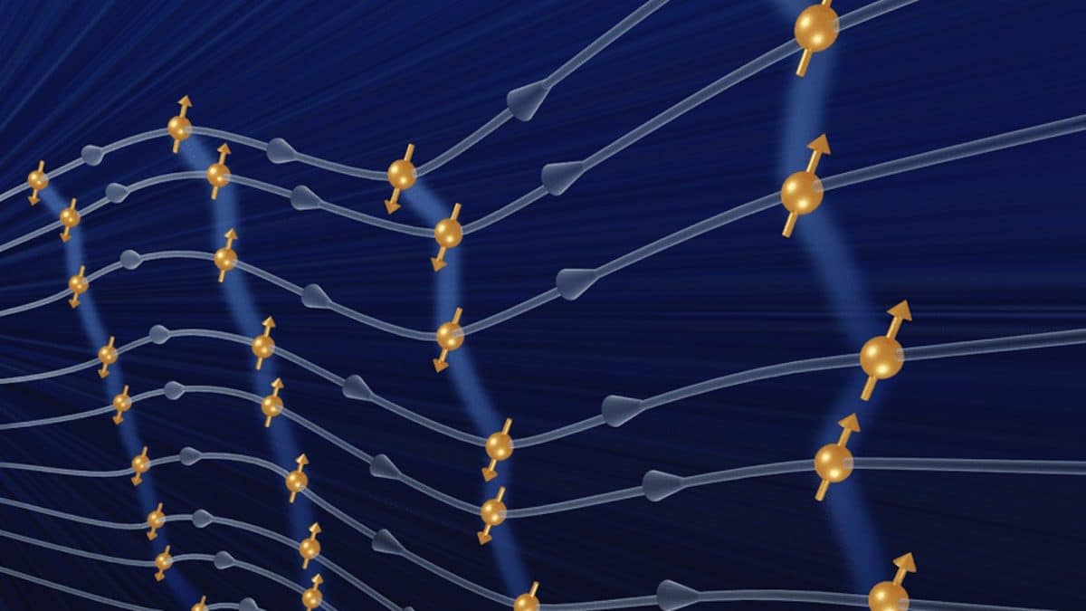 Физики создали первый двумерный кристалл времени на квантовом компьютере