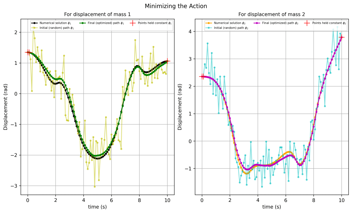 Оптимизация траектории двойного маятника позволяет преобразовать случайные начальные пути (желтый и голубой) в стационарные траектории (зеленый и пурпурный), совпадающие с численным решением, при использовании шага по времени dt = 0.1 с и единичных значениях физических параметров (m, l, g).