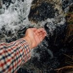 Ученые разработали фильтр для очистки воды из отходов целлюлозно-бумажного производства