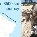 Пластик помог нефтяным загрязнениям преодолеть в океане расстояние до 8,5 тысячи километров