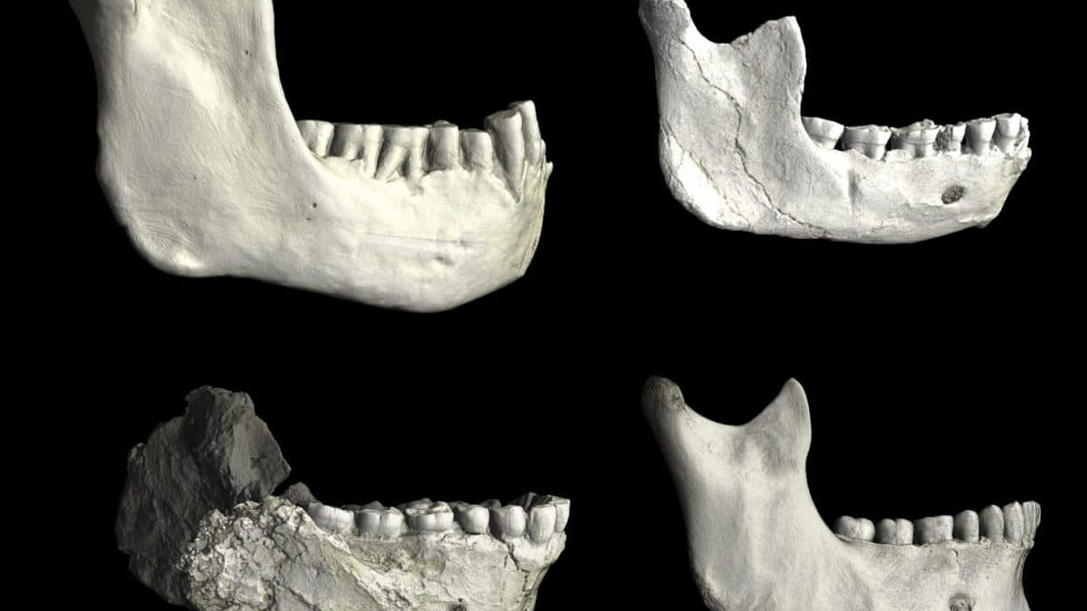 Кости из Марокко поставили под сомнение эволюционную историю человечества 