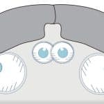 Древнейшие позвоночные развили четыре камероподобных глаза уже полмиллиарда лет назад