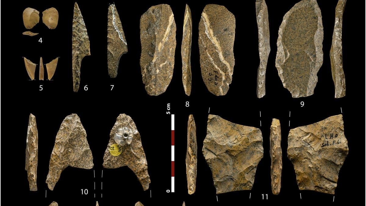 Археологи нашли следы самой масштабной торговой сети в Европе ледникового периода