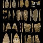 Археологи нашли следы самой масштабной торговой сети в Европе ледникового периода