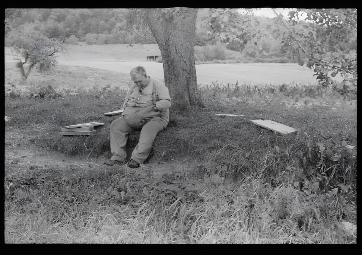 Накопление жира в поджелудочной железе усугубило симптомы депрессии