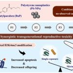 Безопасные химические вещества «встретились» в организме и стали опасными
