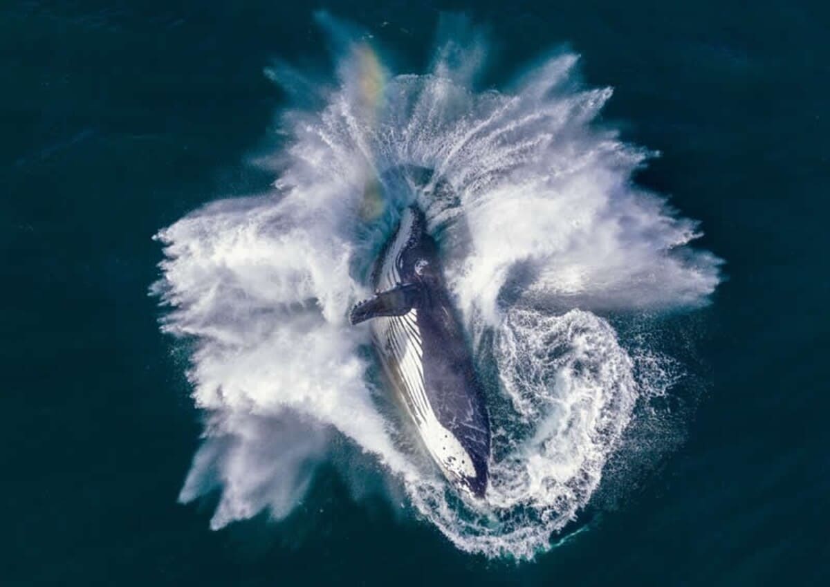 «Преломление света» / © Scott Robert