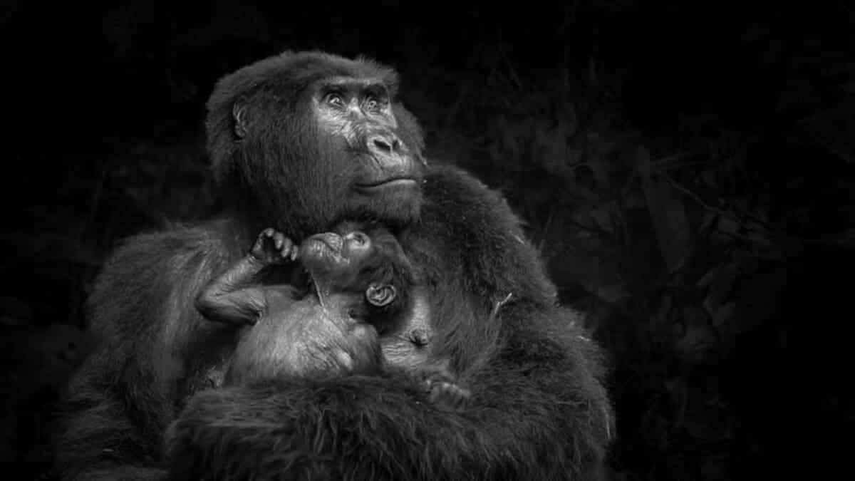 «Взгляд в будущее» / © Kasey Mueller