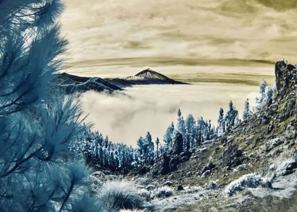 Высокая оценка — Маттео Редаэлли (Италия) / © Sony World Photography Awards 2026