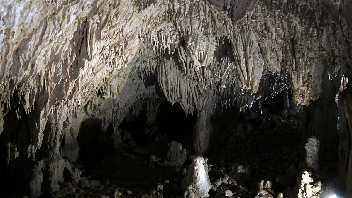 У девочки-подростка из верхнего палеолита нашли редкое генетическое заболевание