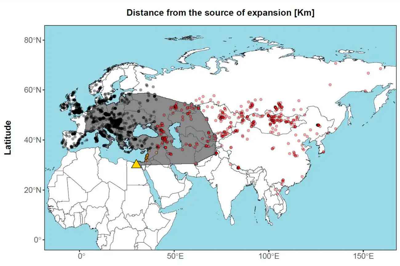 маршрут сапиенсов