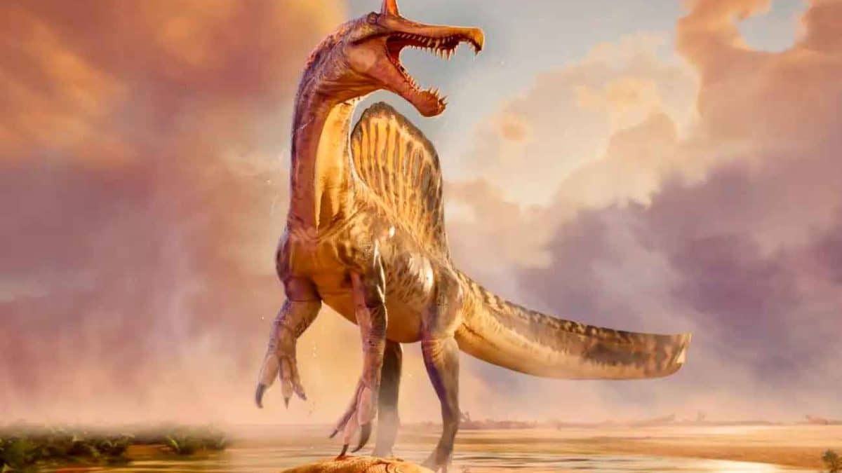 Динозавра с «парусом» на спине исключили из морских хищников