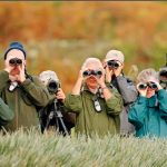 Наблюдения за птицами помогли изменить структуру мозга и замедлить его старение