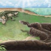 Художественная реконструкция встречи питона и тойотамафимейи на Тайване в среднем плейстоцене